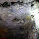 normal_03092011fmt_stiftsarmstollen_ta_005.jpg