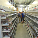 DSCN7938_JPG-1315060249