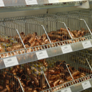 DSCN7939_JPG-1315060261