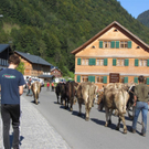Mellau _20__jpg-1315063931