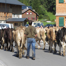Mellau _21__jpg-1315063934