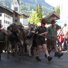 Mellau _45__jpg-1315063971
