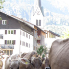 Mellau _47__jpg-1315063974
