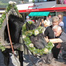 Mellau _69__jpg-1315064020