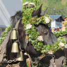 Mellau _81__jpg-1315064039