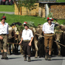 Mellau _86__jpg-1315064051