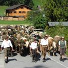 Mellau _88__jpg-1315064057