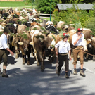 Mellau _89__jpg-1315064060