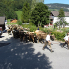 Mellau _90__jpg-1315064064