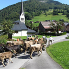 Mellau _92__jpg-1315064068