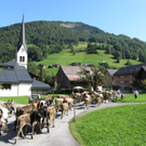 Mellau _95__jpg-1315064075