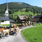 Mellau _96__jpg-1315064080