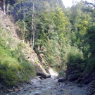 03092011062_jpg-1315070681