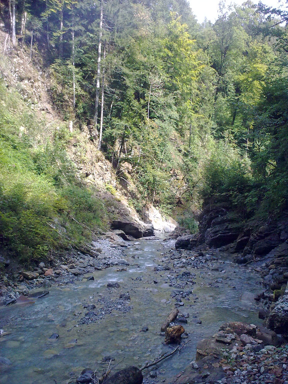 03092011062_jpg-1315070681