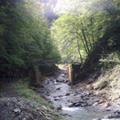 03092011065_jpg-1315070694