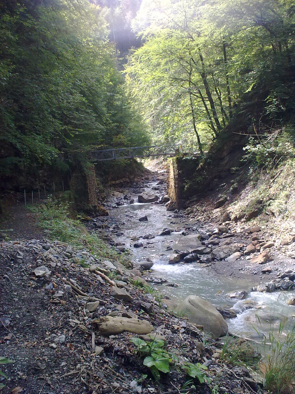03092011065_jpg-1315070694