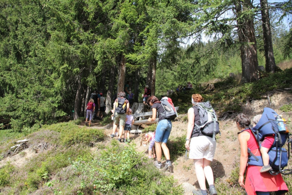 IMG_6884 _Kopie__jpg-1315075219