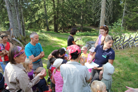 IMG_6907 _Kopie__jpg-1315075444