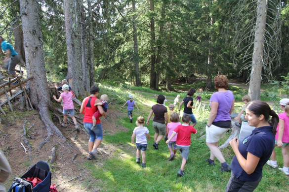 IMG_6910 _Kopie__jpg-1315075465