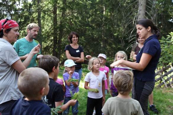 IMG_6915 _Kopie__jpg-1315075486