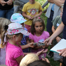 IMG_6916 _Kopie__jpg-1315075493