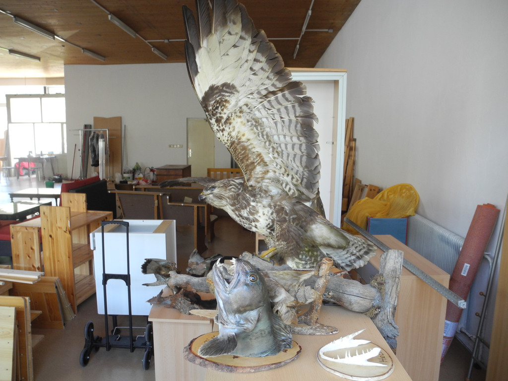 DSCN7769_JPG-1315113430