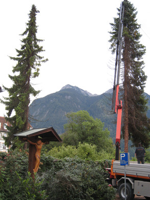 IMG_0100_JPG-1315128056