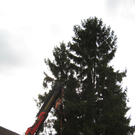 IMG_0054_JPG-1315127964