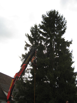 IMG_0054_JPG-1315127964