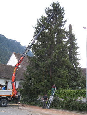 IMG_0058_JPG-1315127703