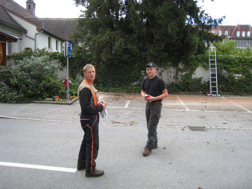 IMG_0050_JPG-1315127910