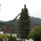 IMG_0090_JPG-1315128026