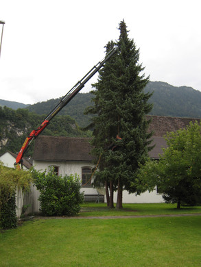 IMG_0090_JPG-1315128026