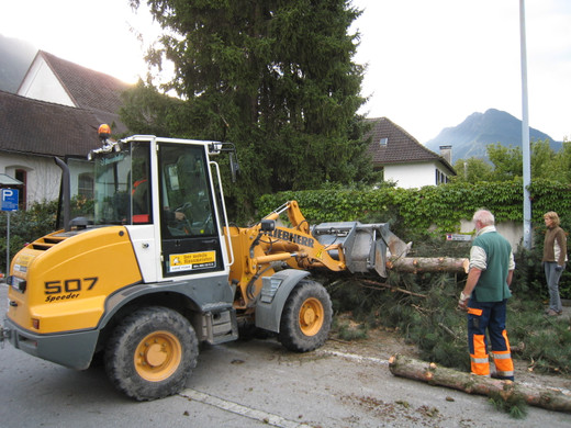 IMG_0048_JPG-1315127872