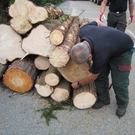 IMG_0103_JPG-1315128094