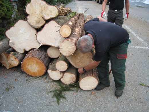 IMG_0103_JPG-1315128094