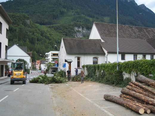 IMG_0107_JPG-1315128131