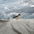 DAB0793-20110904.jpg