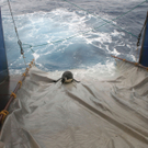 DAB0791-20110904.jpg