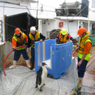 DAB0787-20110904.jpg
