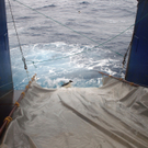 IBD0211-20110904.jpg