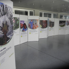 DSCN8004_JPG-1315140259