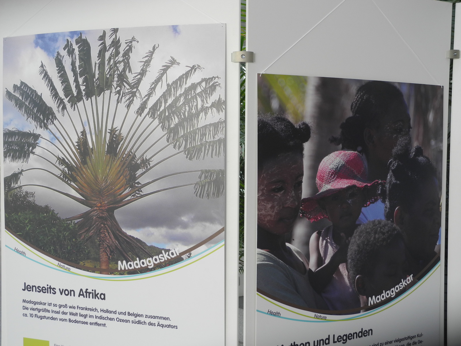 DSCN8005_JPG-1315140271