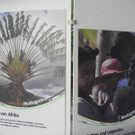 DSCN8005_JPG-1315140271