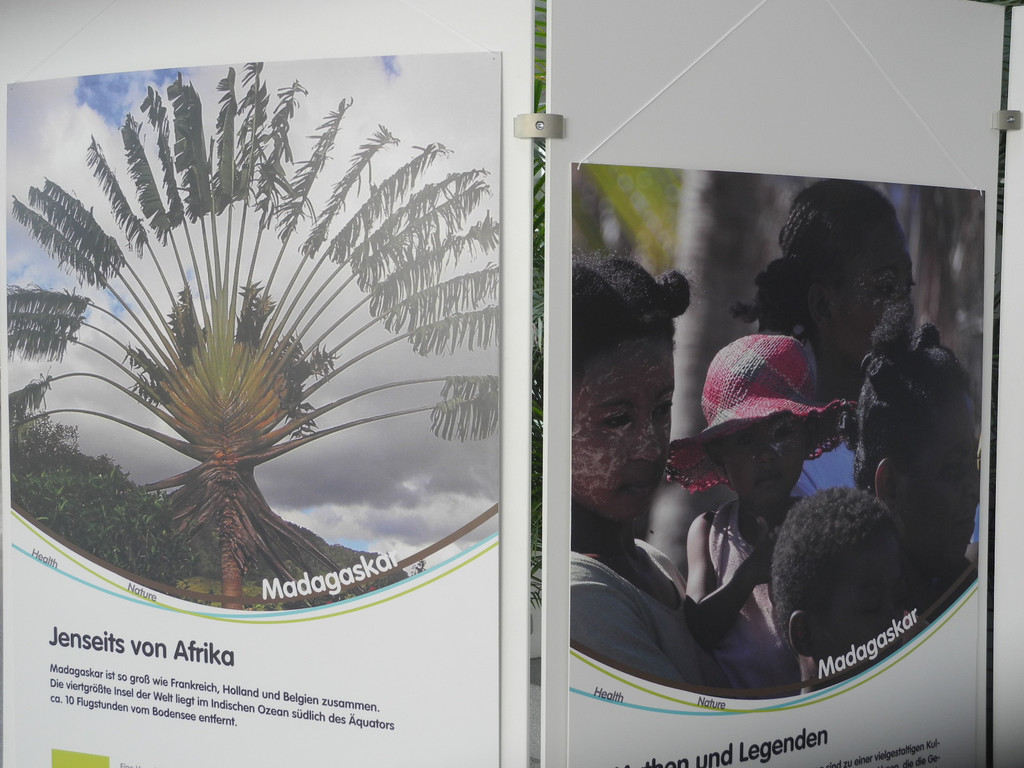 DSCN8005_JPG-1315140271