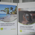 DSCN8017_JPG-1315140358