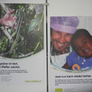 DSCN8007_JPG-1315140297