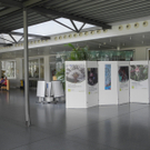 DSCN8021_JPG-1315140407