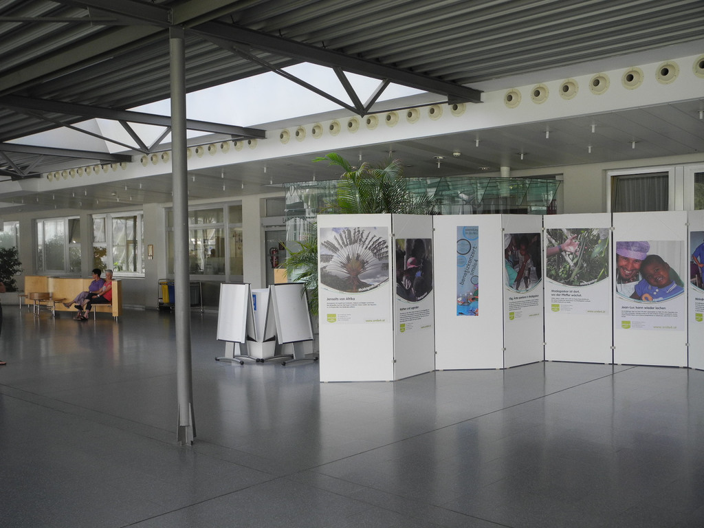 DSCN8021_JPG-1315140407