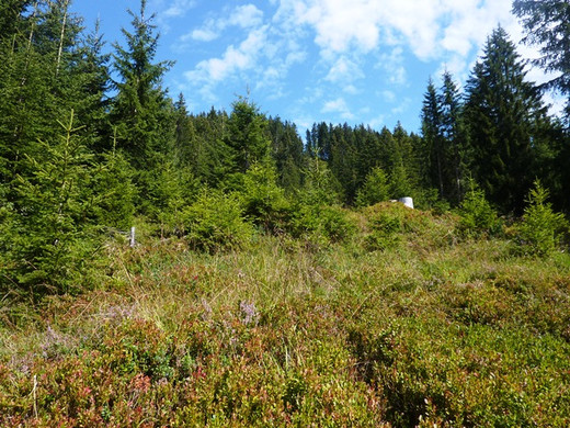 Lehrpfad3.JPG